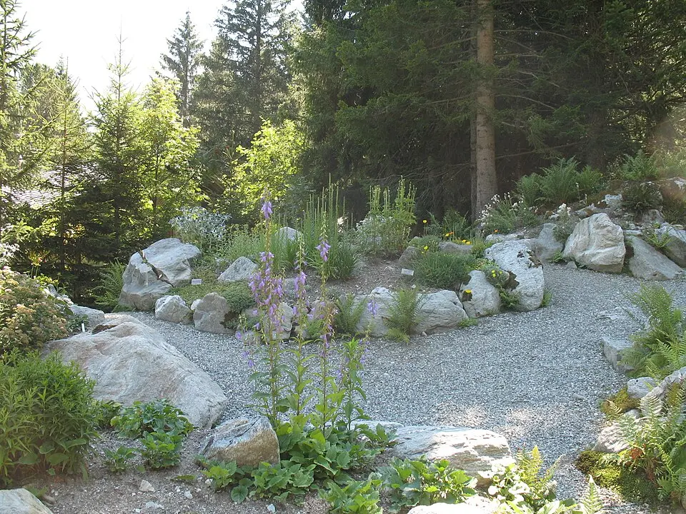 Giardino botanico di Castel Savoia