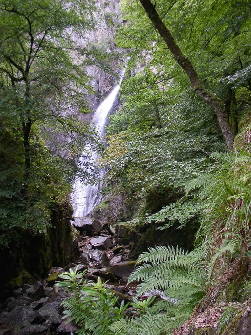 Grey Mare's Tail, Kinlochmore