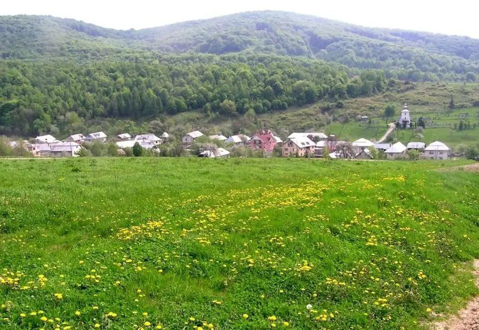 Gribov