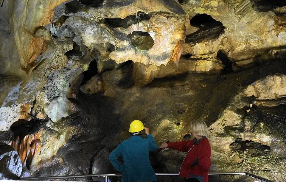 Slika: Naturpuur · CC BY-SA 4.0 Griffener Tropfsteinhöhle