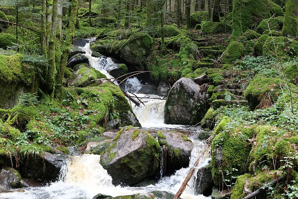Grimbach Wasserfall