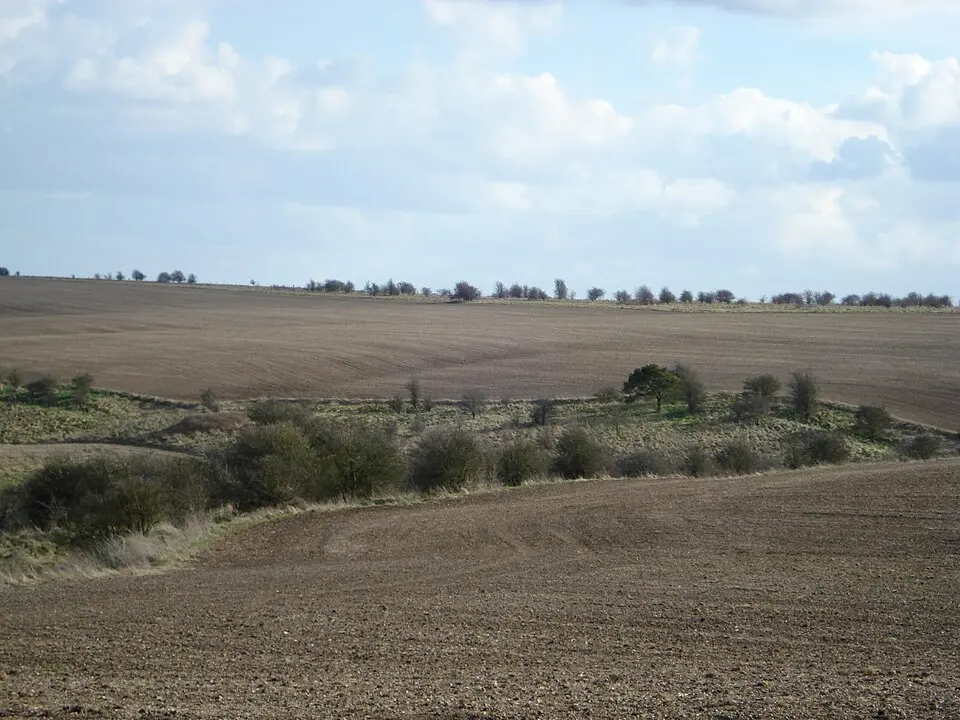 Grim's Ditch: section W of Chilton Plantation
