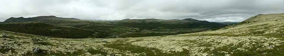 Dovre nasjonalpark