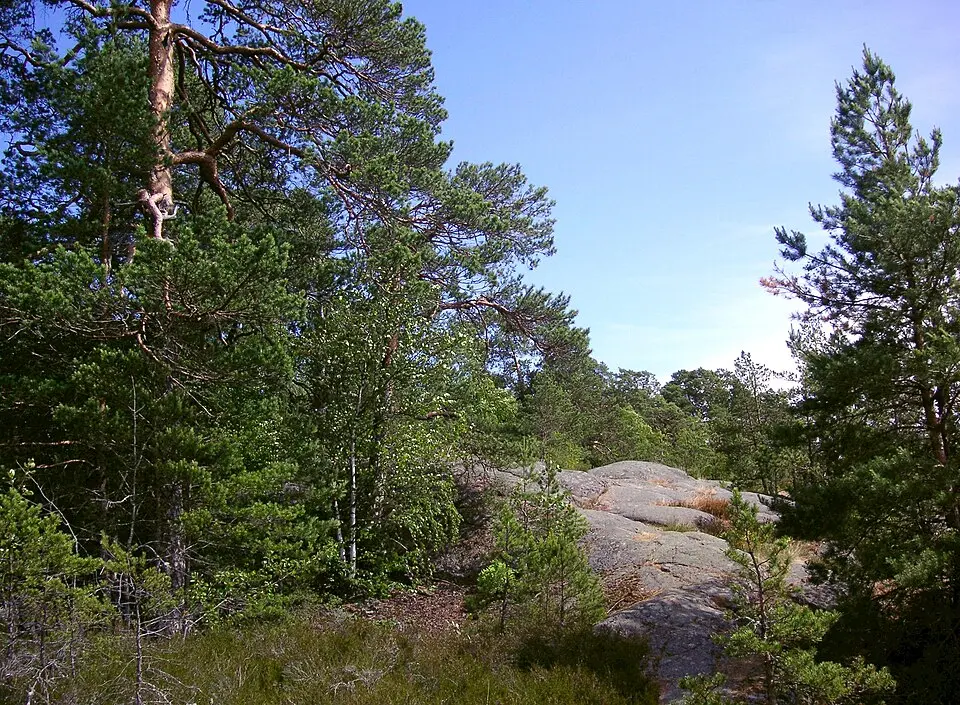 Grimsta naturreservat