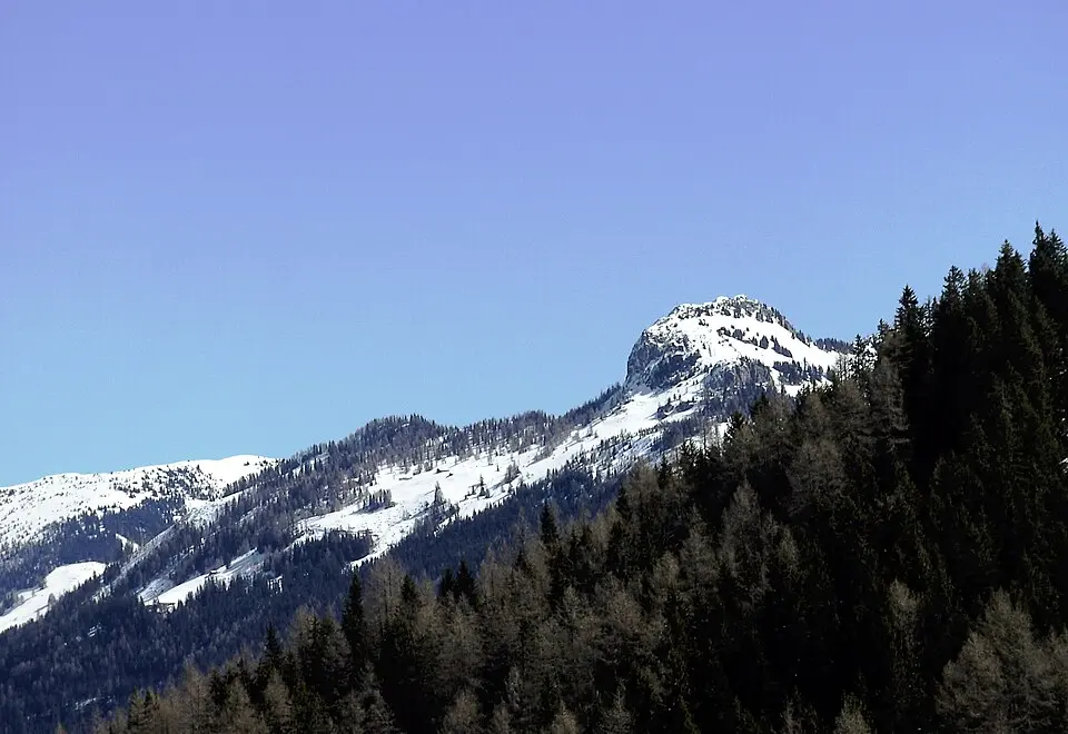 Saukarkopf