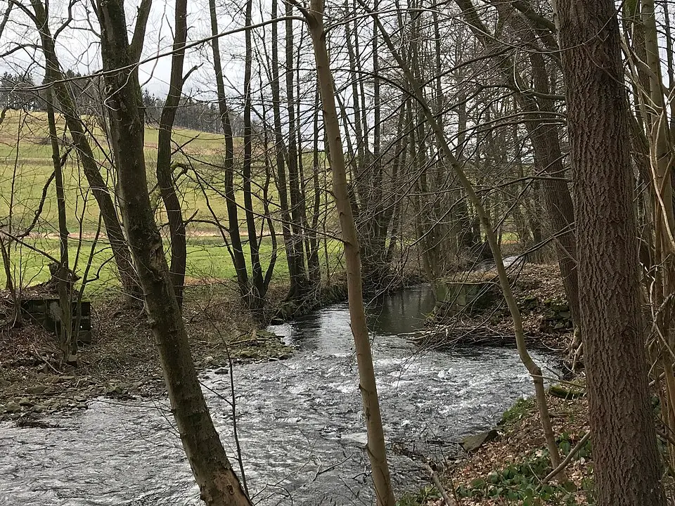 Große Lößnitz