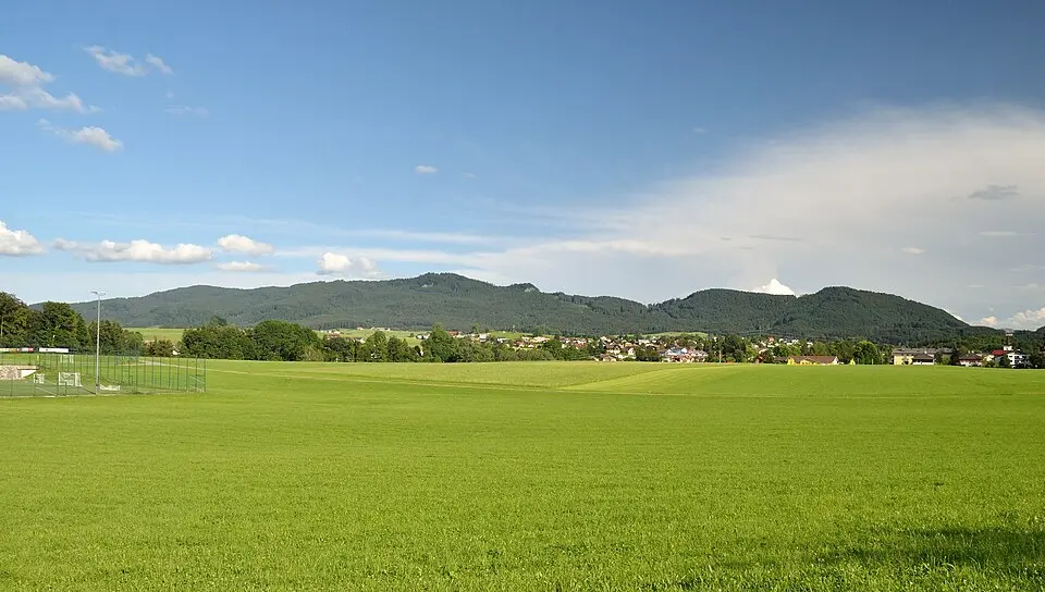 Zifanken