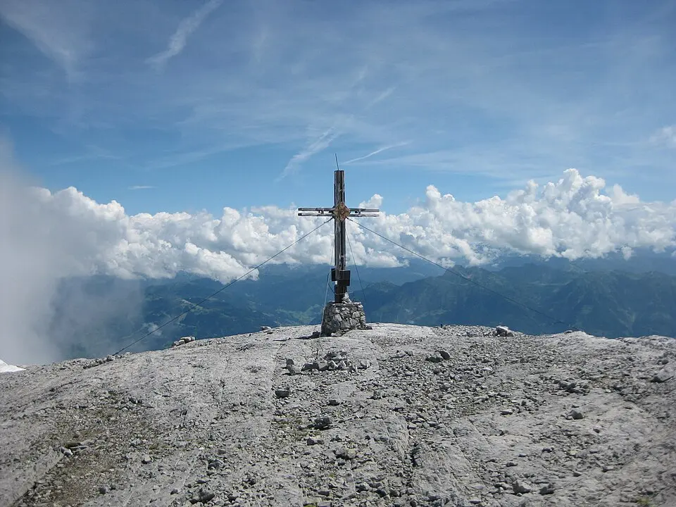 Image: Thorsten Hartmann · CC BY-SA 3.0 Bratschenköpfe