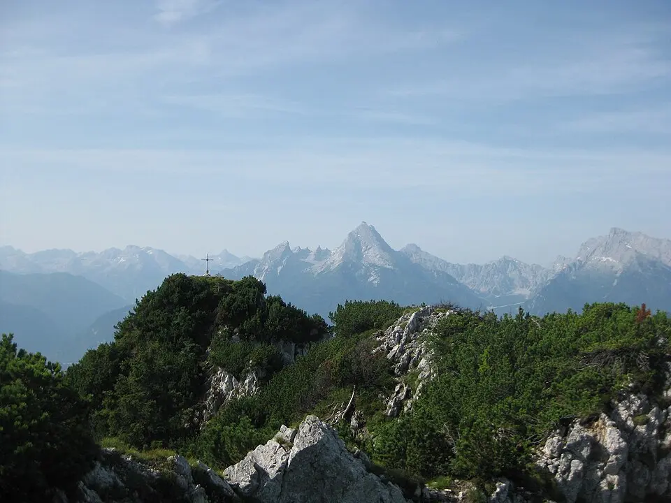 Großer Rauhenkopf
