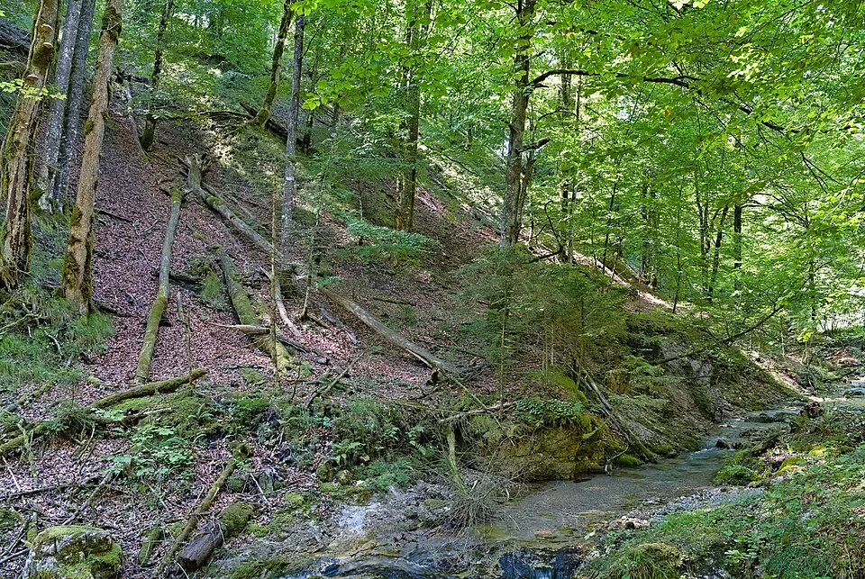 Kalkalpen - Wilder Graben