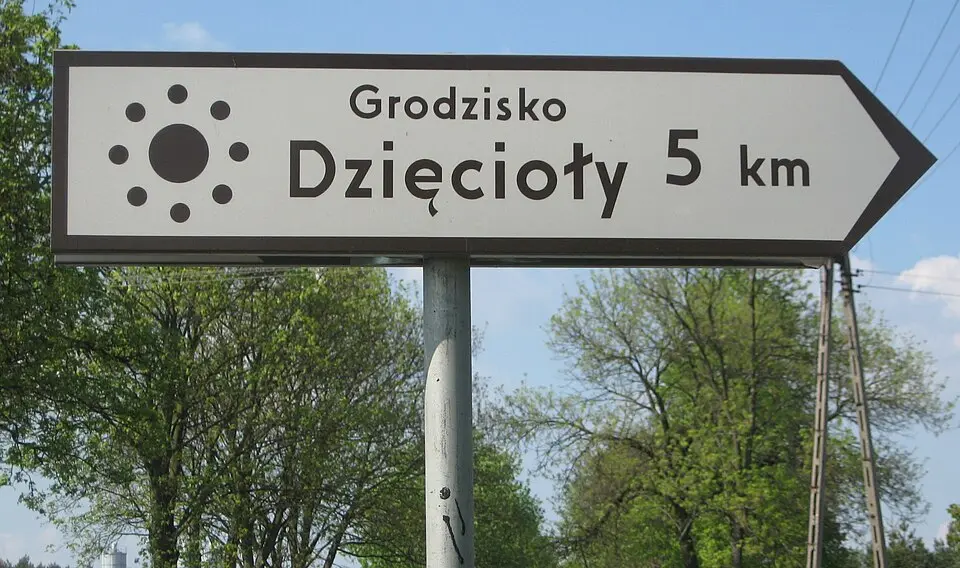 Dzięcioły