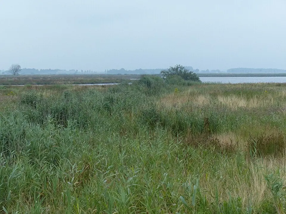 Lageland