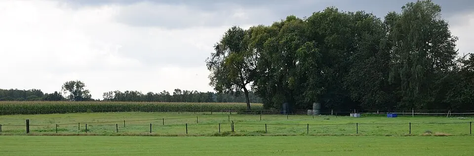 Terrein met daarin resten van een nederzetting en ijzerproductie uit de romeinse tijd