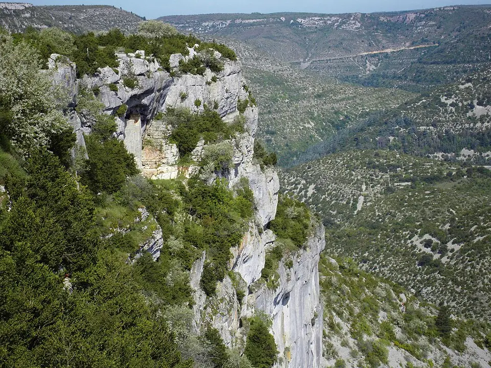 baume Auriol
