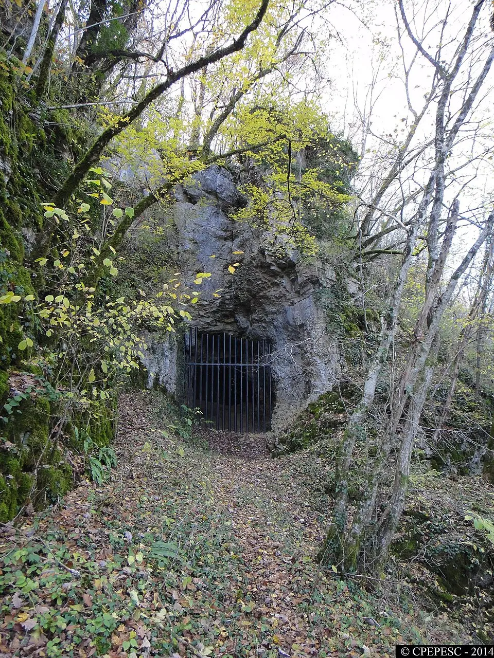 réserve naturelle régionale de la grotte de la Baume