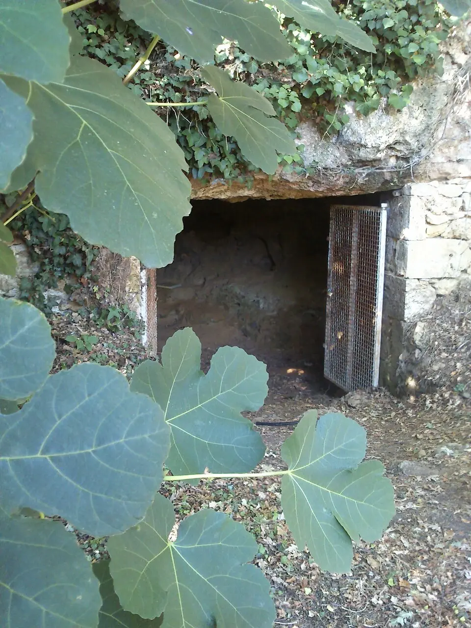 La Marche (Höhle)