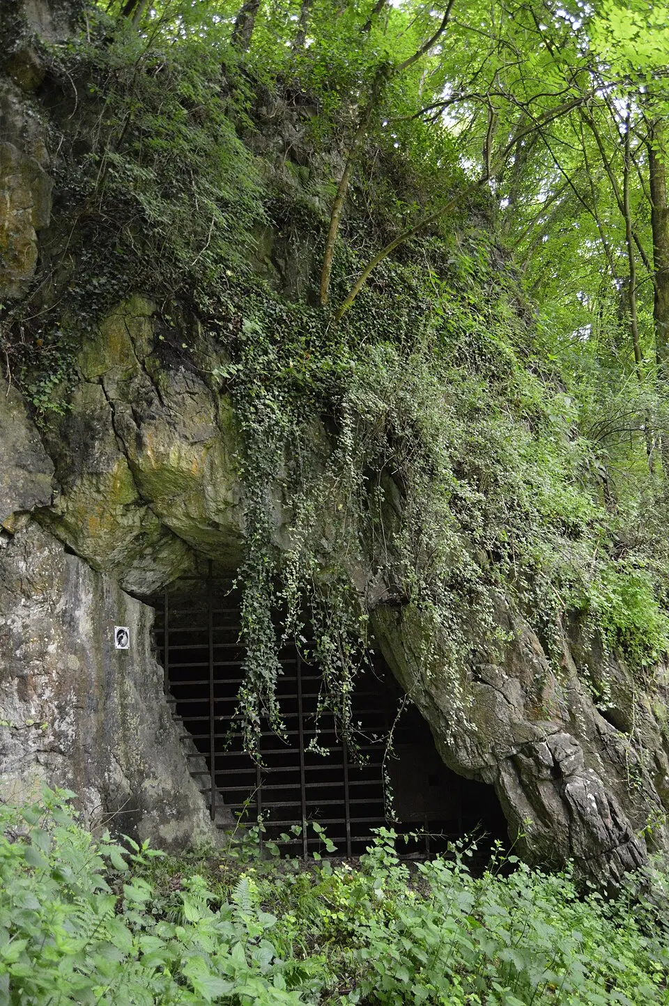 Prehistoric caves of Fonds-de-Forêt