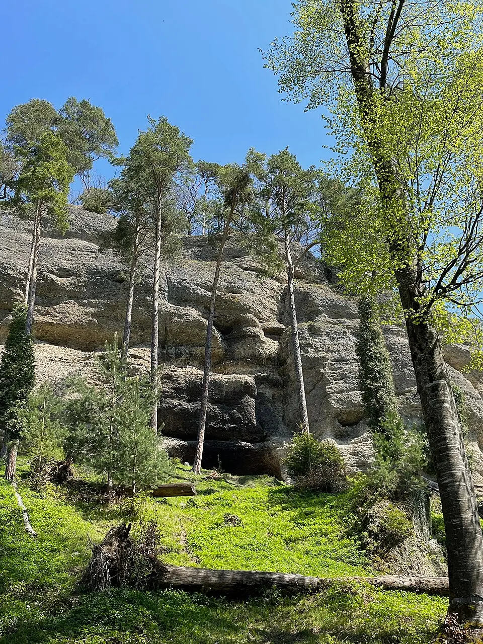 Image: Adrian Michael · CC BY-SA 3.0 Balmburg, medieval castle site