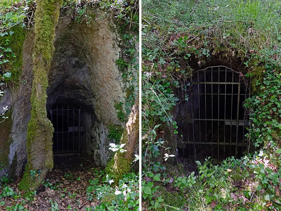 grottes de Combe Nègre