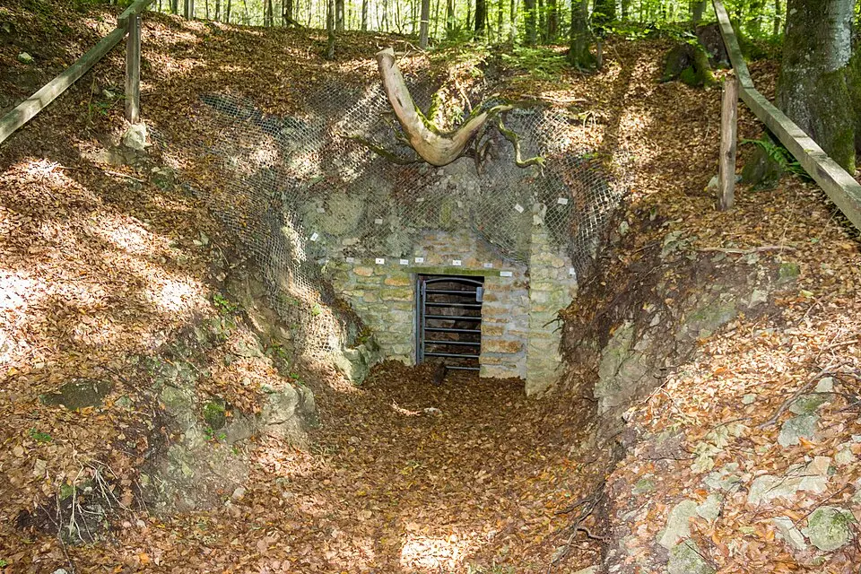 Grubschwart