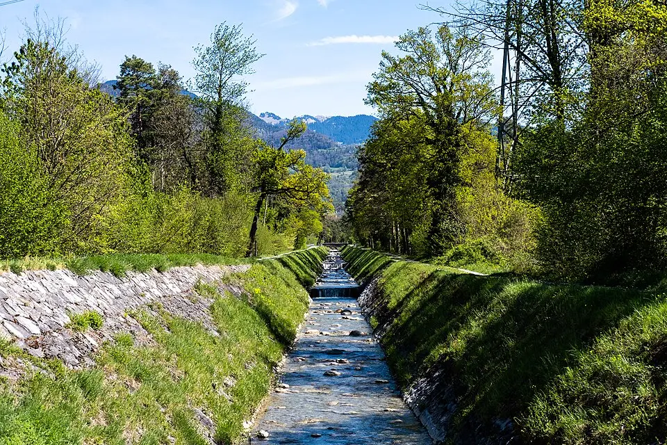 Gryonne