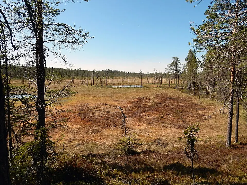 Gryvelån