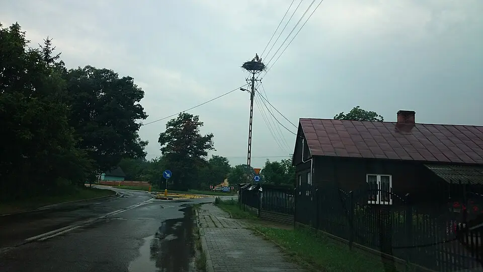 Grzmiąca