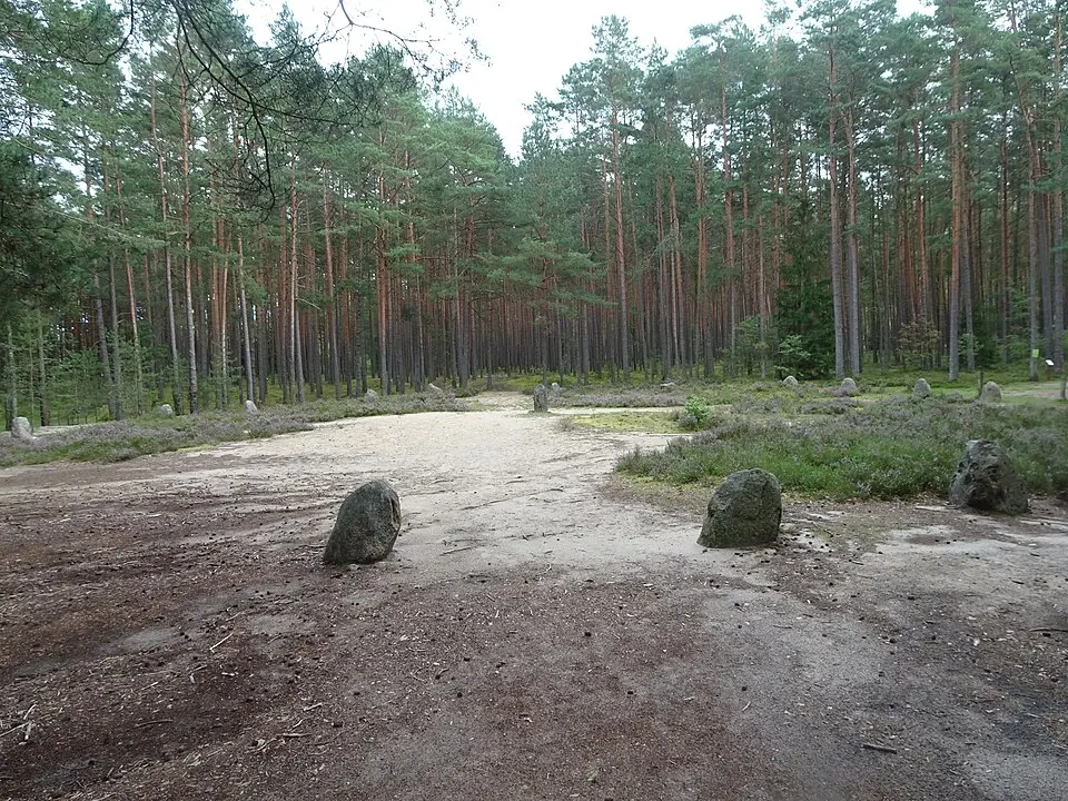 Grzybnica (cmentarzysko)