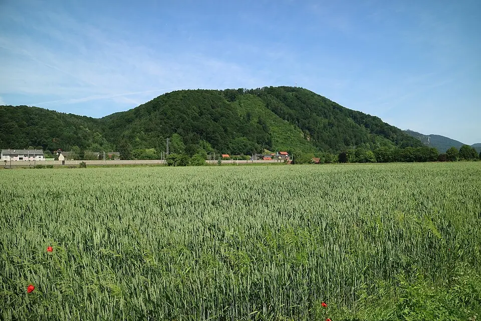 Gsollerkogel