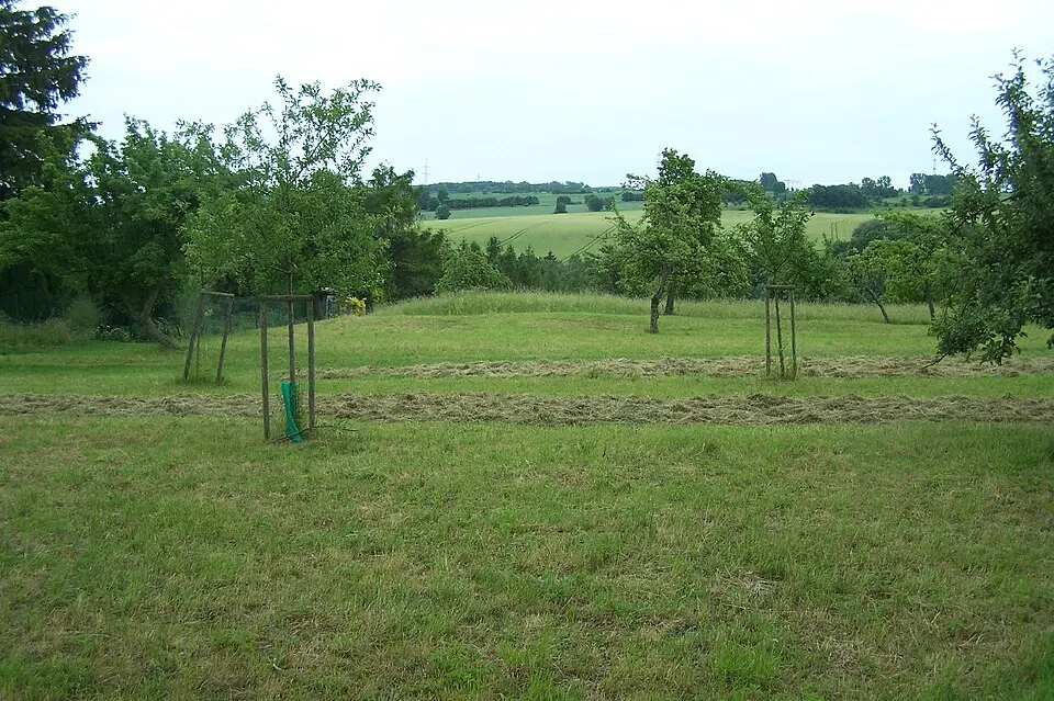 Königshof Haina
