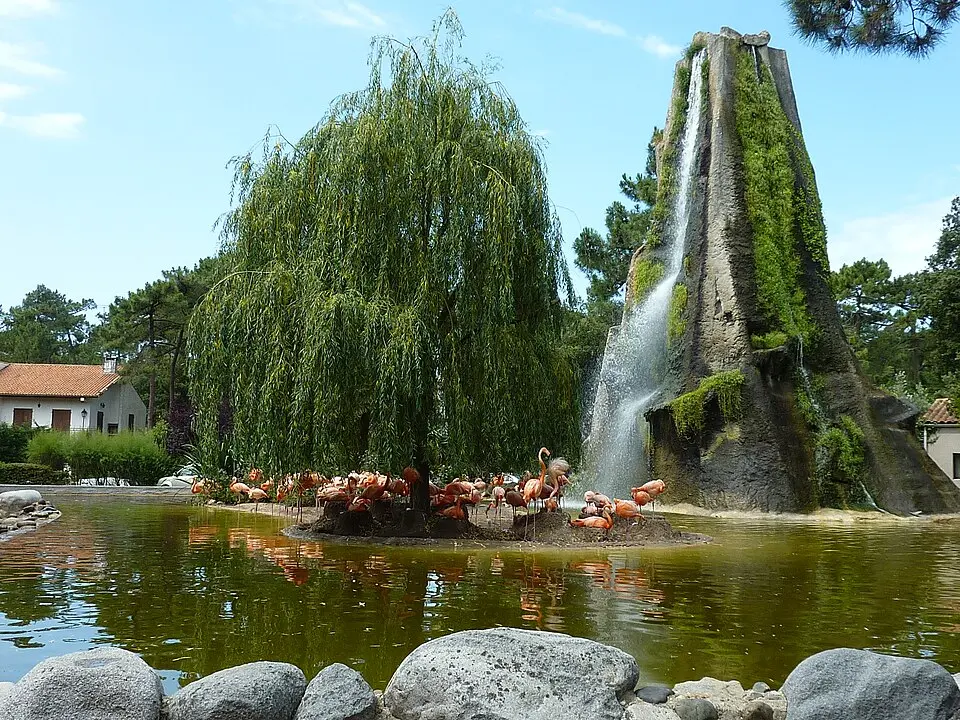 zoo de la Palmyre