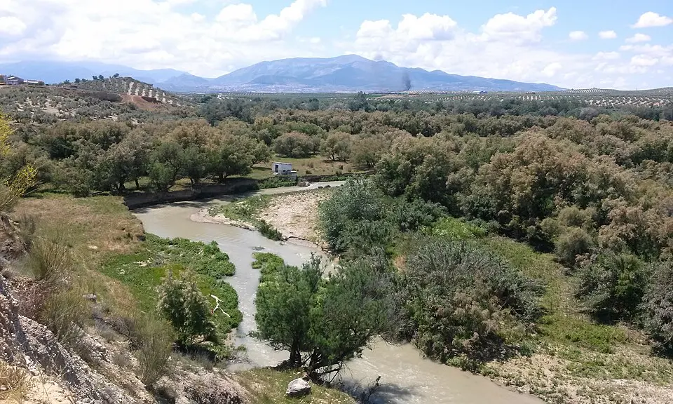 Guadalbullón