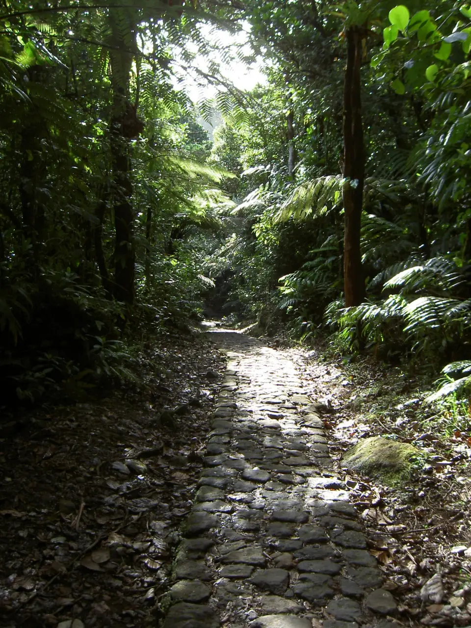 parc national de la Guadeloupe