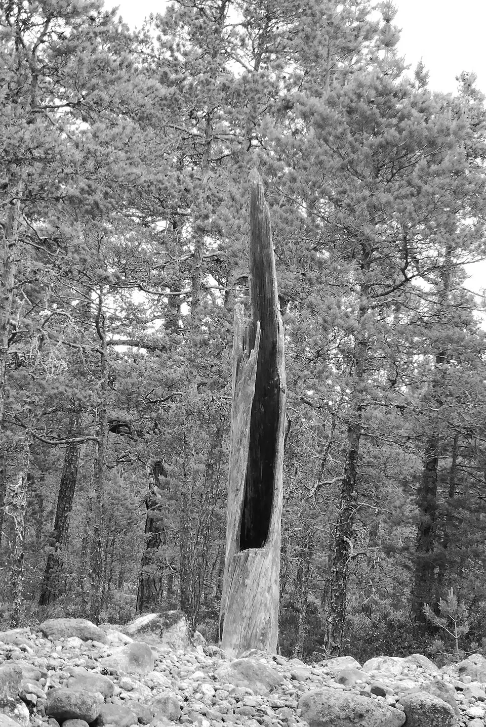 Tångberget