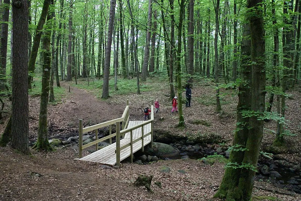 Guddehjälms naturreservat