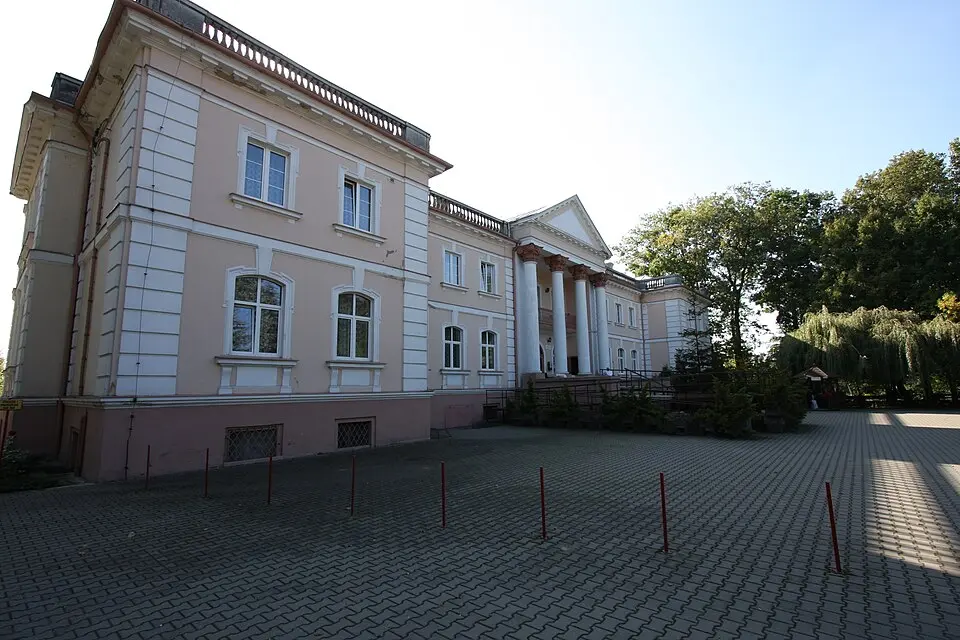 Pałac, Parkowa 1 w Michorzewie