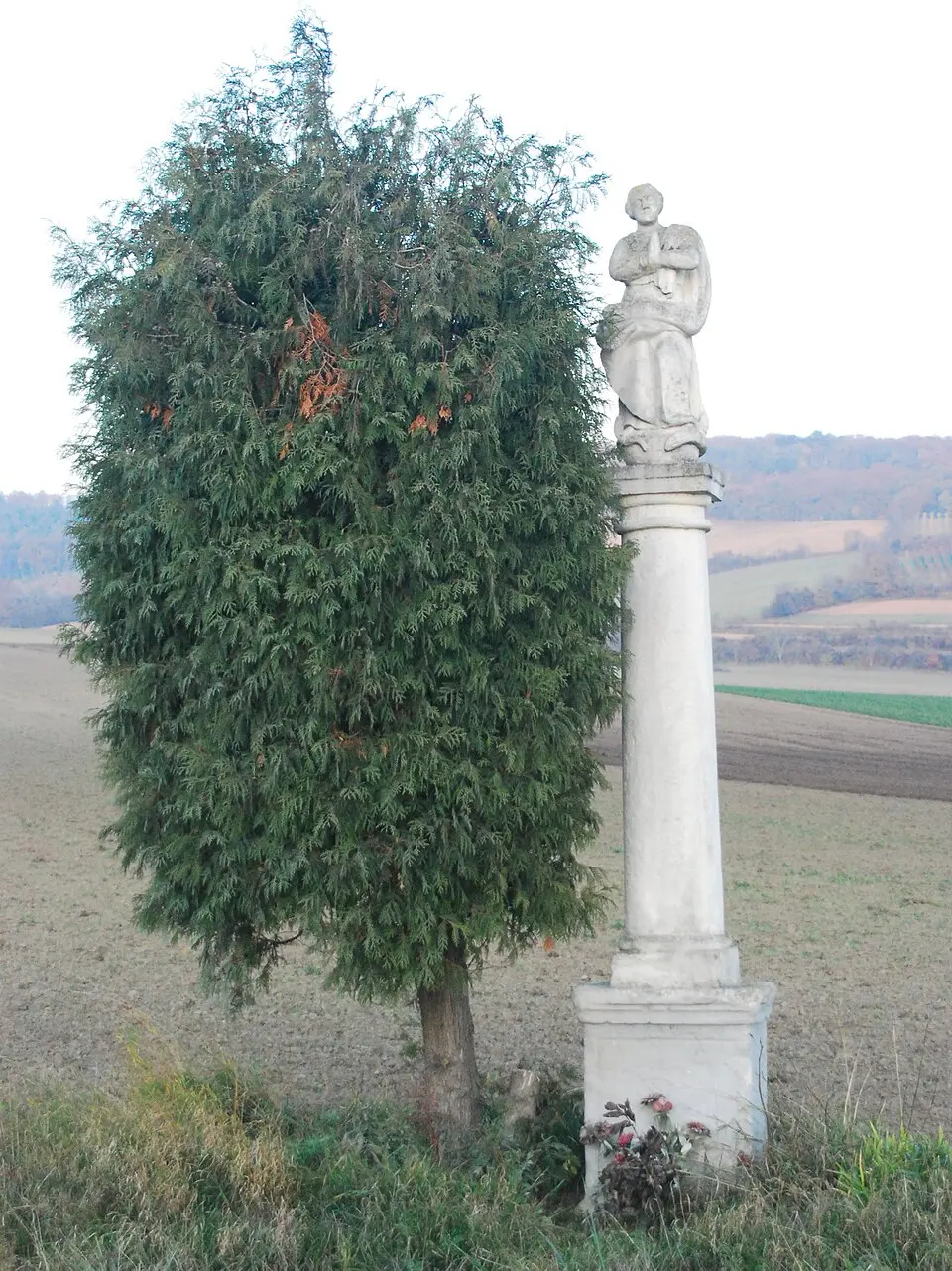 Obrázok: GuentherZ · CC BY 3.0 Maria-Immaculata-Säule
