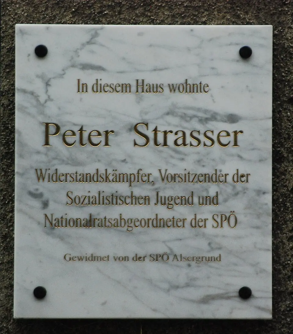 Gedenktafel für Peter Strasser (Wien, Meynertgasse 3)
