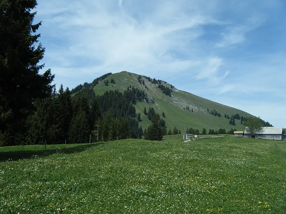 Gulmen (SG)