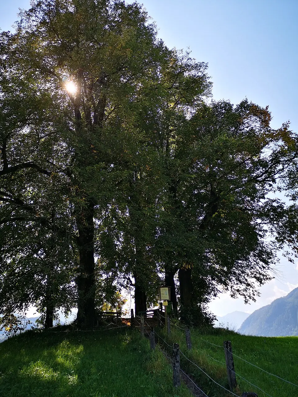 Sterzens Abendsitz