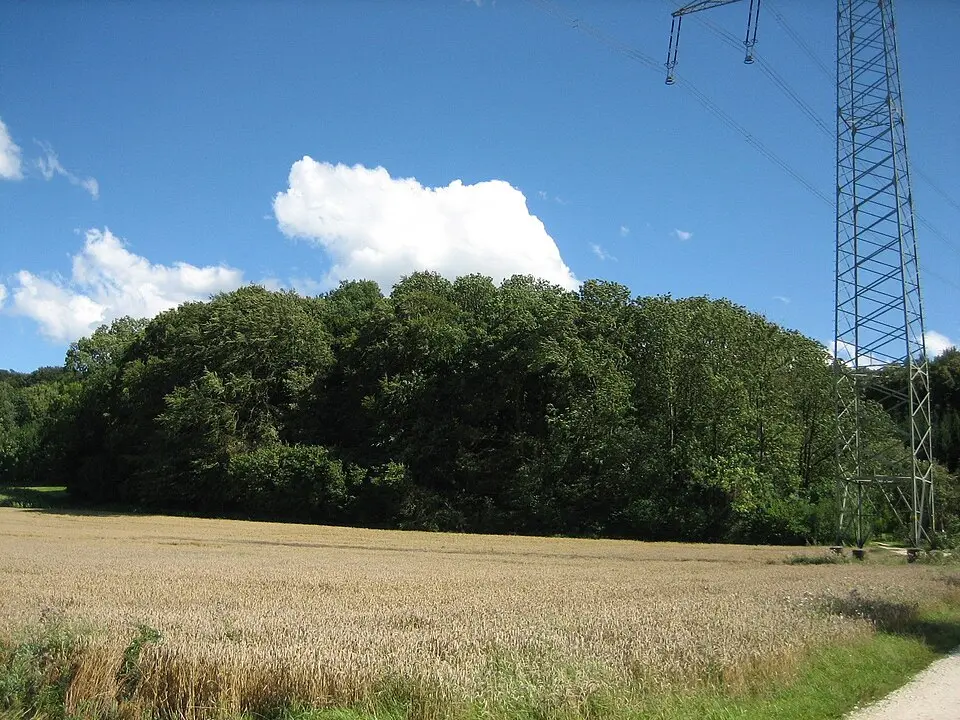 Slika: Alois Wüst · CC BY-SA 3.0 Bürgle (Gundremmingen)