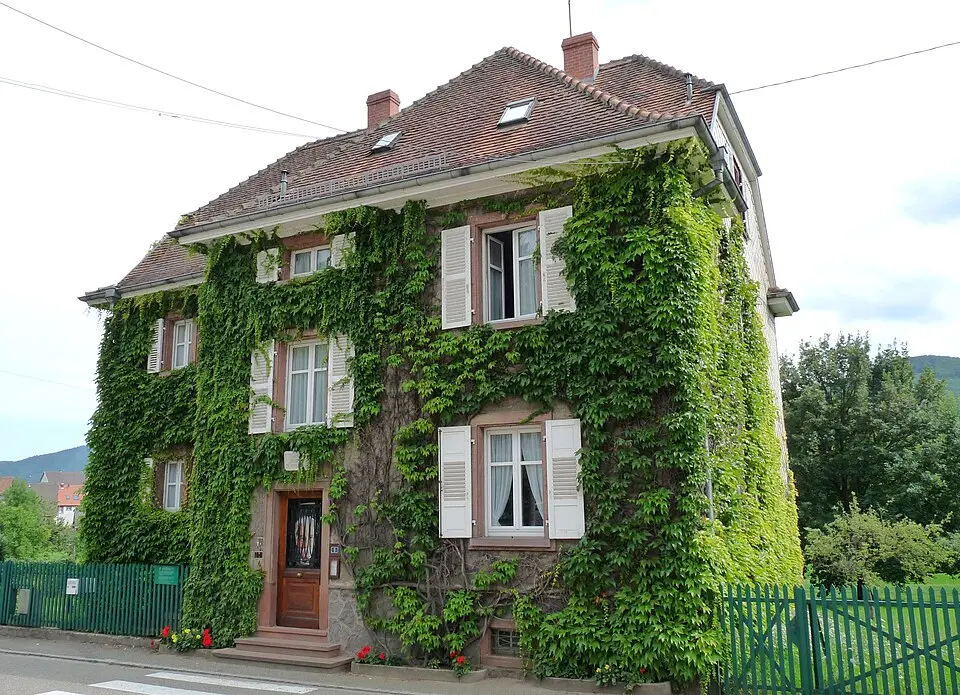 musée Albert-Schweitzer