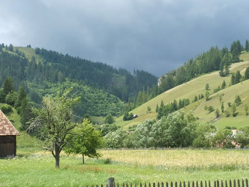 Lunca de Jos