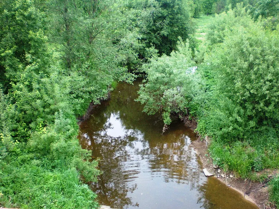 Gynėvė