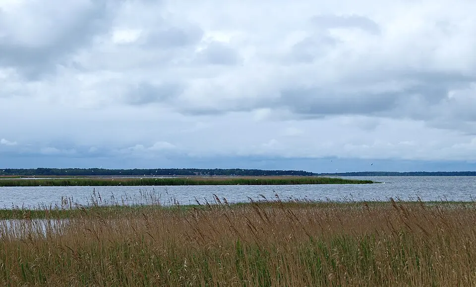 Haapsalu laht
