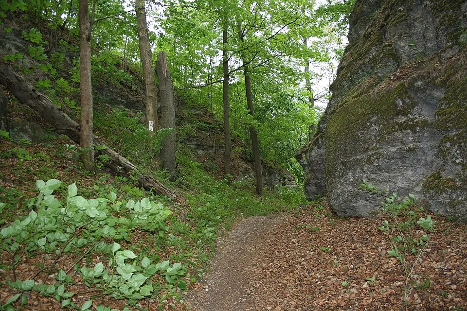 Habichtsburg