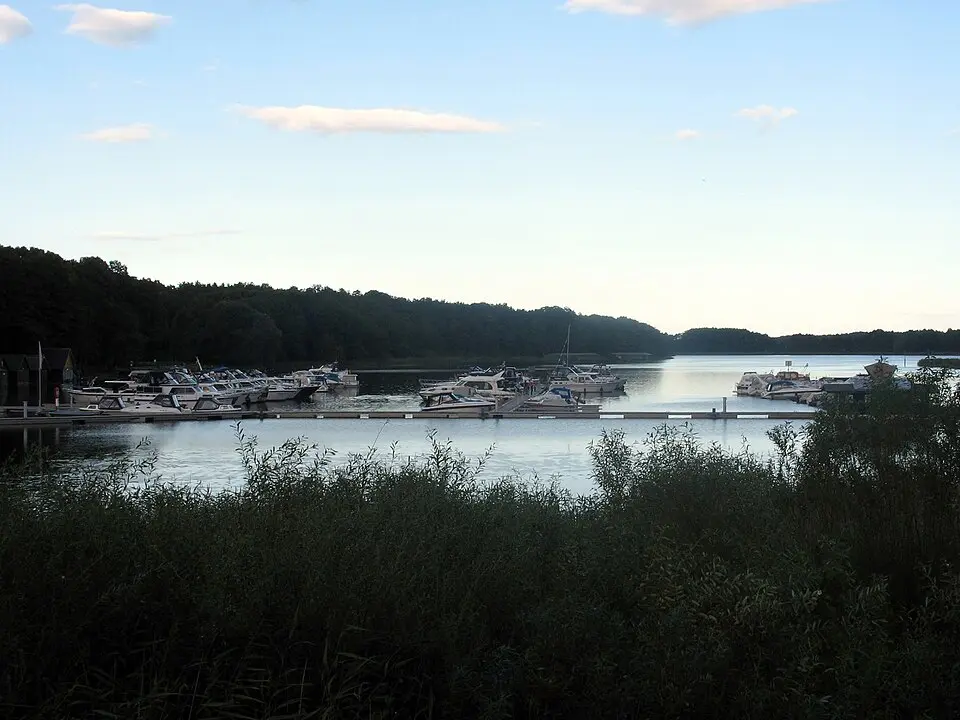 Buchholz