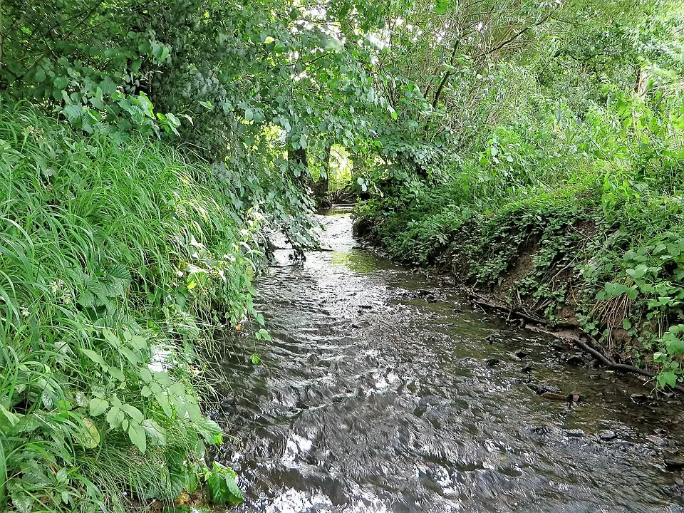 Wannebach