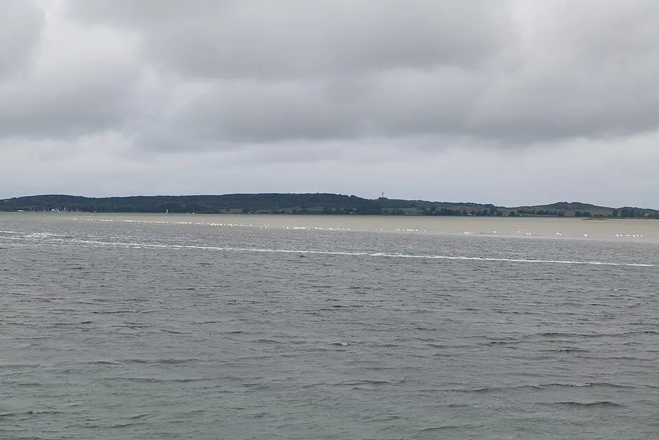 Image: Leonhard Lenz · CC0 Vitter Bodden