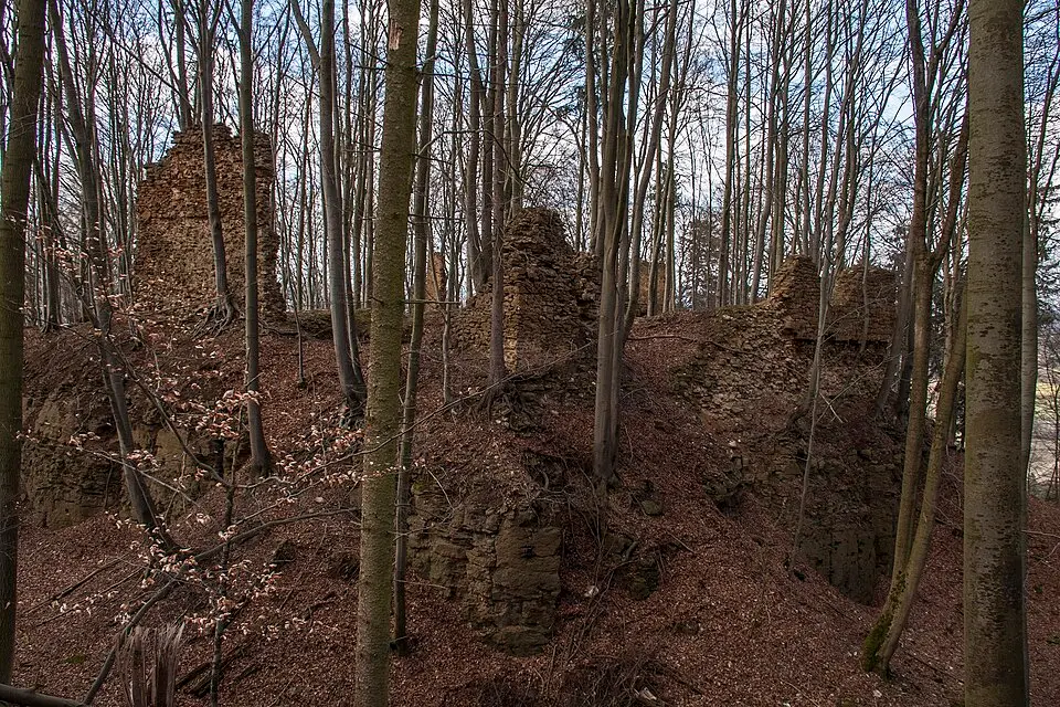 Image: Derzno · CC BY 3.0 Burgruine Haimburg